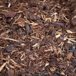 Spruce Bark Mulch 6 Spruce Bark Mulch -You Garden 100061 1