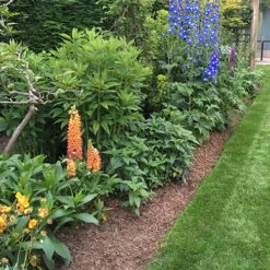 Strulch Mineralised Straw Garden Mulch 11 Strulch Mineralised Straw Garden Mulch -You Garden 100086 4