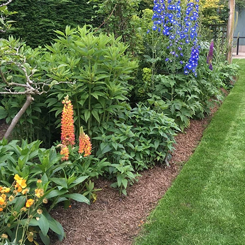 Strulch Mineralised Straw Garden Mulch 5 Strulch Mineralised Straw Garden Mulch - Image 5