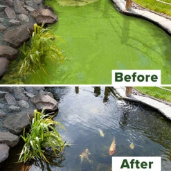 Blooming Fast Pond Clear Pro 2 Step - Medium Pack -You Garden 110059 2