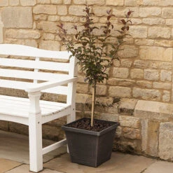 Classic 'Estate' Square Planter -You Garden 130185 2