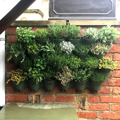 WonderWall Vertical Growing System - 10 Sections 2 WonderWall Vertical Growing System - 10 Sections - Image 2