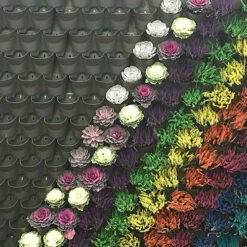 WonderWall Vertical Growing System - 10 Sections 15 WonderWall Vertical Growing System - 10 Sections -You Garden 130246 6