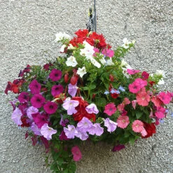 Easy Fill Hanging Baskets 38cm (15in) Pair -You Garden 130257 3
