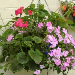 Easy Fill Hanging Baskets 38cm (15in) Pair -You Garden 130257 5