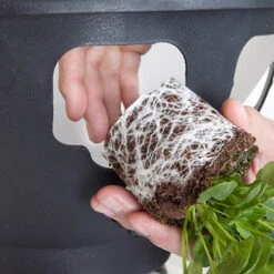 Easy Fill Hanging Baskets 38cm (15in) Pair -You Garden 130257 6