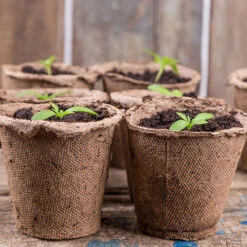 Skelly Tray X 3 And 36 Jiffy Bio Pots 10 Skelly Tray X 3 And 36 Jiffy Bio Pots -You Garden 130325 3