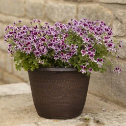 4 X Acorn Planters 25cm (10in) Copper-Tone -You Garden 130361 2