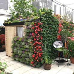 WonderWall - Single Section 11 WonderWall - Single Section -You Garden 130427 2