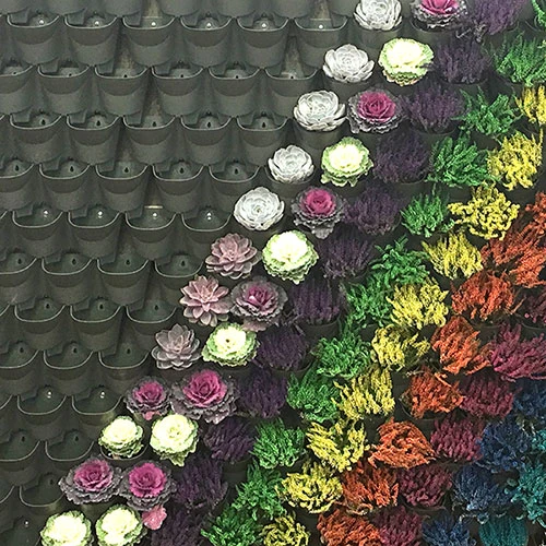 WonderWall - Single Section 7 WonderWall - Single Section - Image 7