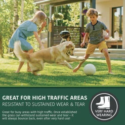 Multi-Purpose & Hardwearing Grass Seed Mix - Back Lawn, 1kg -You Garden 140101 2