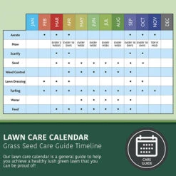 Multi-Purpose & Hardwearing Grass Seed Mix - Back Lawn, 1kg -You Garden 140101 7