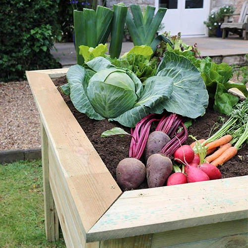 Deep Root Planter 1m 2 Deep Root Planter 1m - Image 2