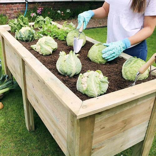 Deep Root Planter 1.8M 2 Deep Root Planter 1.8M - Image 2