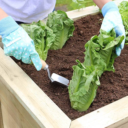 Deep Root Planter 1.8M 3 Deep Root Planter 1.8M - Image 3