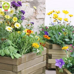 Marford Hexagonal Planter Set 7 Marford Hexagonal Planter Set -You Garden 160098 3