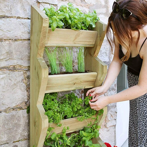 Tall Vertical Herb Stand 2 Tall Vertical Herb Stand - Image 2