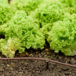 Flopro Beds & Borders Watering Kit -You Garden 161002 2