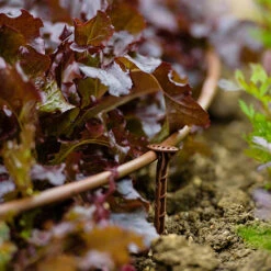 Flopro Beds & Borders Watering Kit -You Garden 161002 4