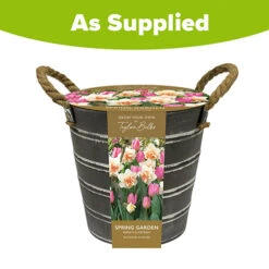 Outdoor Narcissi And Tulip Bucket Planter 7 Outdoor Narcissi And Tulip Bucket Planter -You Garden 161135 3