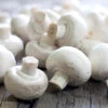 Grow Your Own White Mushroom Kit