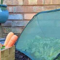 Pop Up Mini Grow Tunnel Cloche 6 Pop Up Mini Grow Tunnel Cloche -You Garden 161376 2