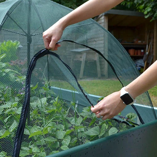 Square Plant Umbrella For Raised Beds 2 Square Plant Umbrella For Raised Beds - Image 2