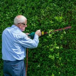 Webb 500w 51cm Cut Electric Hedge Trimmer 16 Webb 500w 51cm Cut Electric Hedge Trimmer -You Garden 180264 7