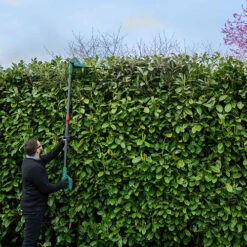 20v Cordless Long Reach Hedge Trimmer 10 20v Cordless Long Reach Hedge Trimmer -You Garden 180268 4