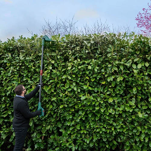 20v Cordless Long Reach Hedge Trimmer 5 20v Cordless Long Reach Hedge Trimmer - Image 5