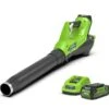 Greenworks 40V Axial Blower With 2Ah Battery And Charger