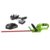 24V Hedge Trimmer With Battery & Charger