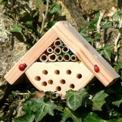 Minibugs Bobby's Bug House