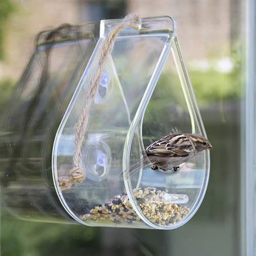 Dewdrop Window Feeder 1 Dewdrop Window Feeder