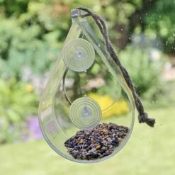 Dewdrop Window Feeder 10 Dewdrop Window Feeder -You Garden 190049 4