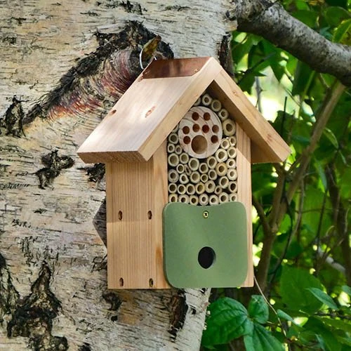 Bee Barn 4 Bee Barn - Image 4