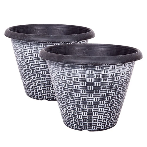 Pair Of Cordyline And Decorative Planters 5 Pair Of Cordyline And Decorative Planters - Image 5