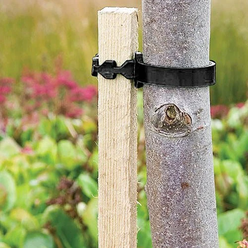 Complete Tree Planting Kit 5 Complete Tree Planting Kit - Image 5