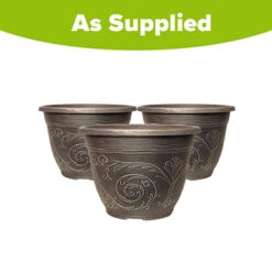 Blueberry Collection With Decorative Pots -You Garden 310082 4