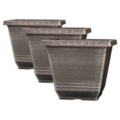 The Complete Blueberry Growing Kit -You Garden 310083 5