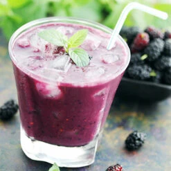 Morus Rotundiloba 'Mojoberry' Dwarf Mulberry -You Garden 310092 6