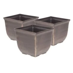 Complete Blueberry Vaccinium Kit -You Garden 310123 6