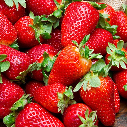 Everbearer Strawberry 'Sweet Summer' 3 Everbearer Strawberry 'Sweet Summer' - Image 3