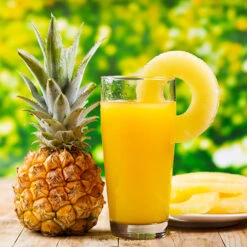 Edible Indoor Pineapple Plant - Ananas Comosus. -You Garden 340031 3