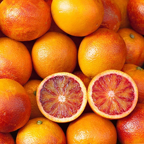 Blood Orange Citrus 1 Blood Orange Citrus