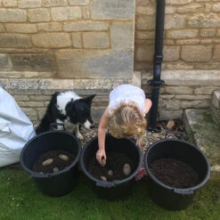 Complete Patio Potato Growing Kit -You Garden 350007 5