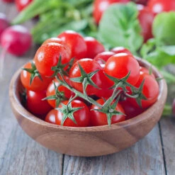 'Tumbling Tom' Tomato -You Garden 370026 2