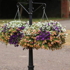 'Fruit Salad' Pre-Planted Basket 6 'Fruit Salad' Pre-Planted Basket -You Garden 450013 2