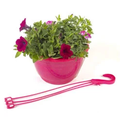 'Eton Mess' Pre-Planted Basket 5 'Eton Mess' Pre-Planted Basket -You Garden 450079 2