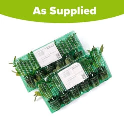 Power Daisy Collection -You Garden 480393 8